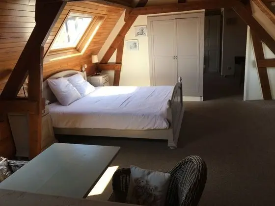 Deluxe Tek Büyük Yataklı Oda, 1 Çift Kişilik Yatak, Sauna