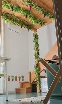 Superior Tek Büyük Yataklı Oda, 1 Yatak Odası, Şehir Manzaralı