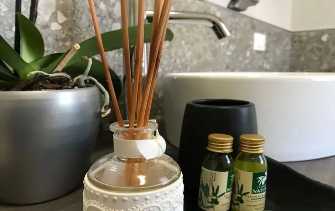 Junior Süit, Birden Çok Yatak, Teras, Bahçe Manzaralı