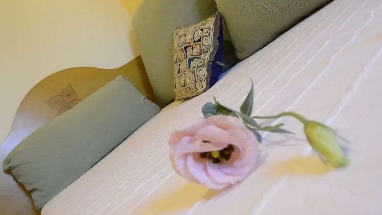 Superior Tek Kişilik Oda, Sigara İçilmez