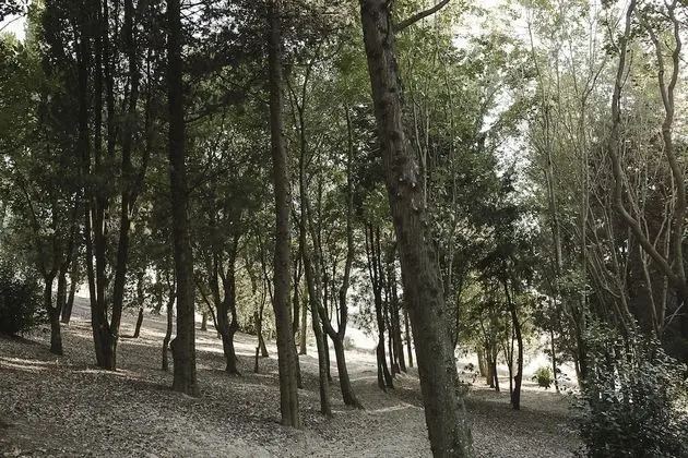 Standard Dört Kişilik Oda, Banyolu/Duşlu, Bahçe Manzaralı