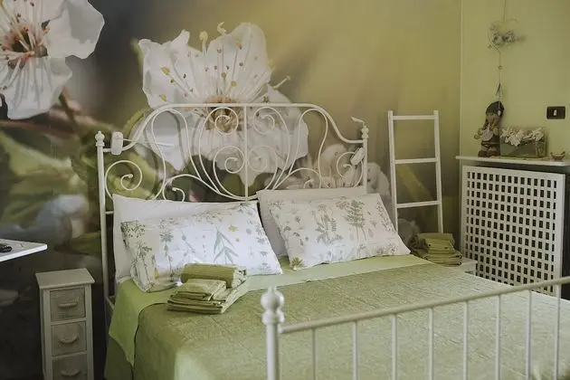 Standard Tek Büyük Yataklı Oda, Banyolu/Duşlu, Bahçe Manzaralı