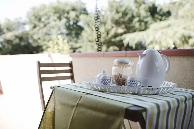 Standard Tek Büyük Yataklı Oda, Banyolu/Duşlu, Bahçe Manzaralı