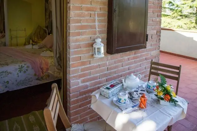 Standard Tek Büyük Yataklı Oda, Banyolu/Duşlu, Bahçe Manzaralı