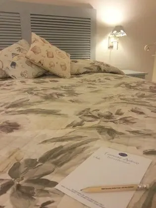 Tek Büyük veya İki Ayrı Yataklı Oda, Balkon (Shared)