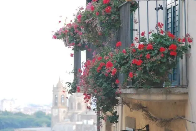 Basic Tek Büyük Yataklı Oda, 1 Yatak Odası, Banyolu/Duşlu, Şehir Manzaralı