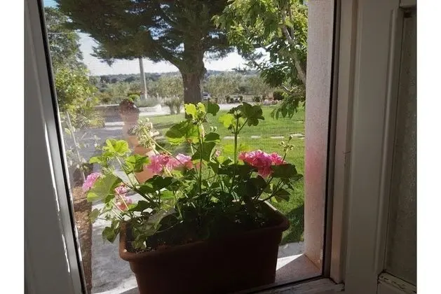 Tek Büyük Yataklı Oda, 1 Büyük (Queen) Boy Yatak (Castagno)