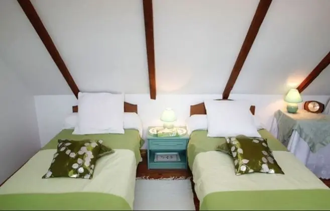 Tek Büyük veya İki Ayrı Yataklı Oda (Green Room)