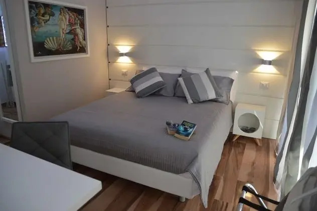 Deluxe Tek Büyük Yataklı Oda, 1 En Büyük (King) Boy Yatak, Engellilere Uygun, Şehir Manzaralı