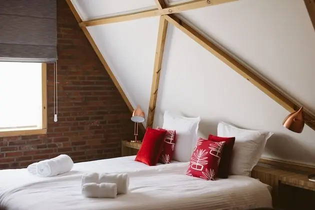 Deluxe Tek Büyük Yataklı Oda (Red Room)