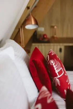 Deluxe Tek Büyük Yataklı Oda (Red Room)