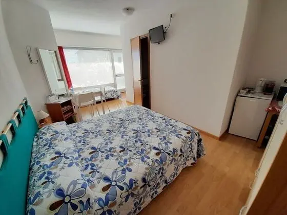 Comfort Üç Kişilik Oda, Buzdolabı ve Mikrodalga, Zemin Kat