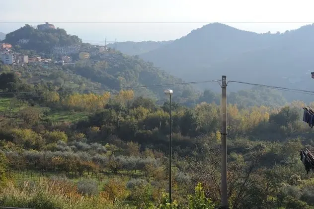 Basic Tek Büyük Yataklı Oda