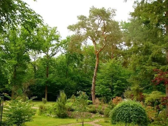 Comfort Tek Büyük Yataklı Oda, Bağlantılı Odalar, Bahçe Manzaralı