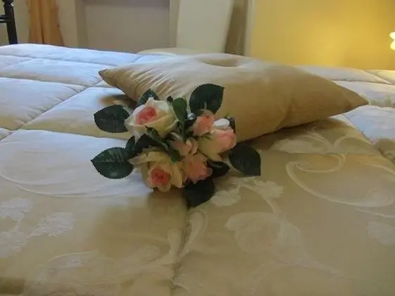 Comfort Stüdyo