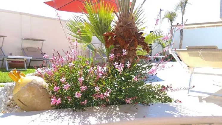 Romantic Tek Büyük Yataklı Oda
