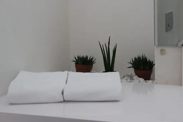 Deluxe Tek Büyük Yataklı Oda, Park Manzaralı
