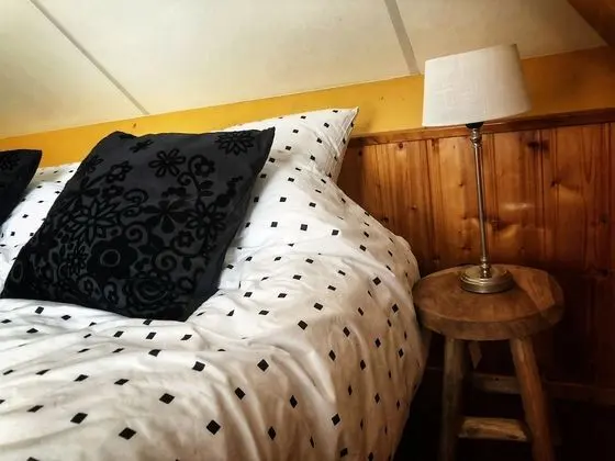 Standard Tek Büyük veya İki Ayrı Yataklı Oda, 2 Tek Kişilik Yatak