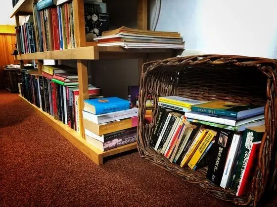 Standard Tek Büyük veya İki Ayrı Yataklı Oda, 2 Tek Kişilik Yatak