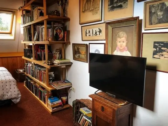 Standard Tek Büyük veya İki Ayrı Yataklı Oda, 2 Tek Kişilik Yatak