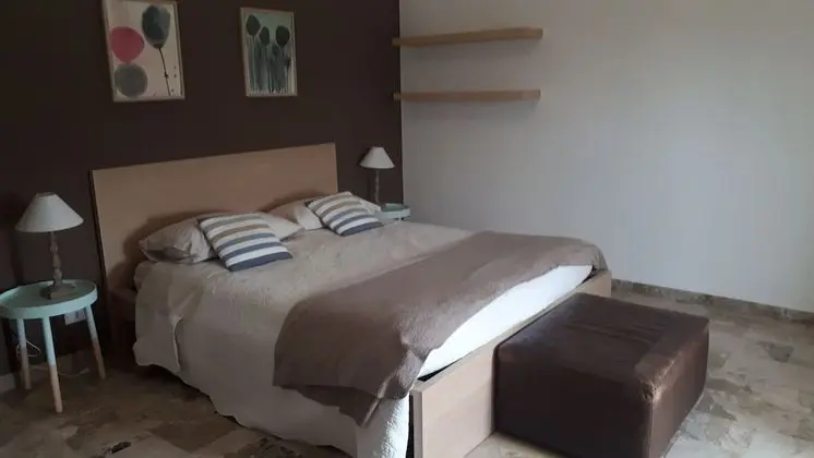 Comfort Oda (Pesce a Pois)