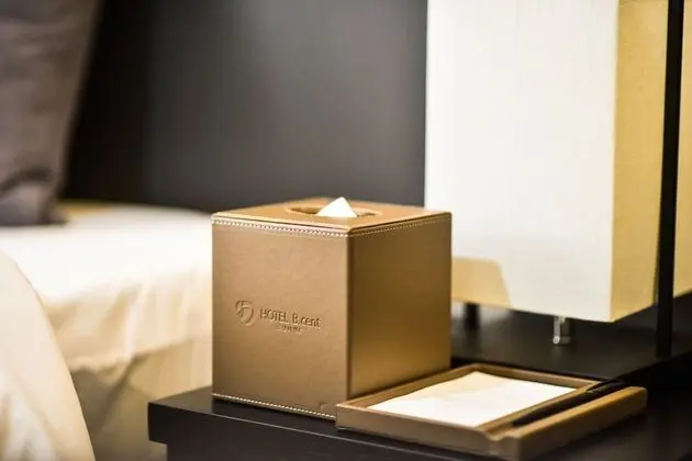 Deluxe Tek Büyük Yataklı Oda, 1 En Büyük (King) Boy Yatak