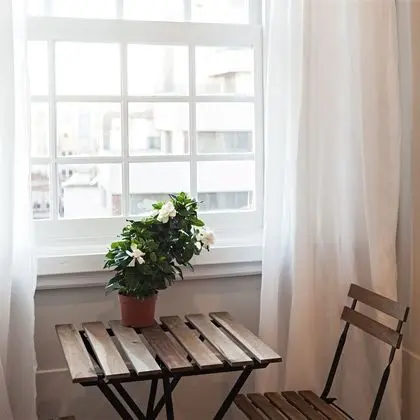 Superior Tek Büyük veya İki Ayrı Yataklı Oda