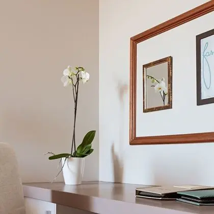 Superior Tek Büyük Yataklı Oda