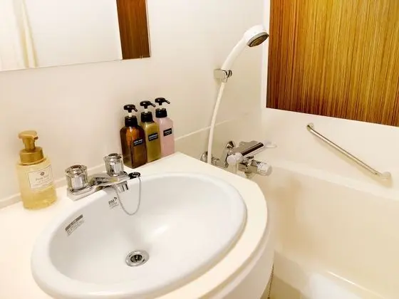 Standard Tek Büyük Yataklı Oda, Sigara İçilebilir