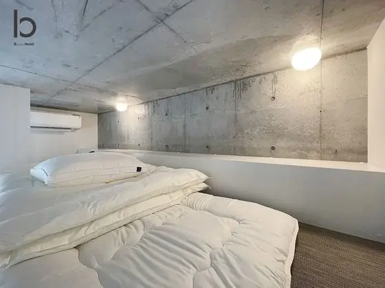 Deluxe Apart Daire, 1 Yatak Odası, Sigara İçilmez, Şehir Manzaralı (bHotel Nekoyard 201)