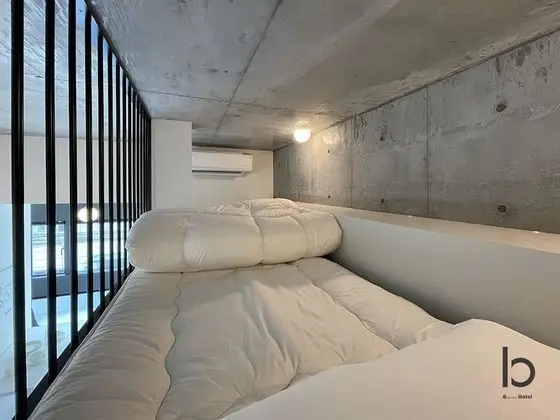 Deluxe Apart Daire, 1 Yatak Odası, Sigara İçilmez, Şehir Manzaralı (bHotel Nekoyard 301)