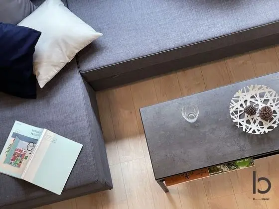 Deluxe Apart Daire, 1 Yatak Odası, Sigara İçilmez, Şehir Manzaralı (bHotel Nekoyard 301)