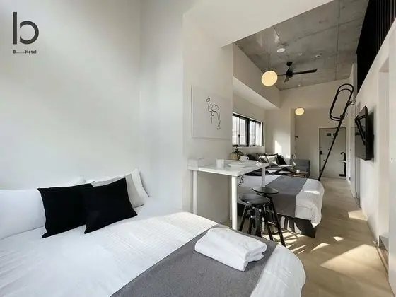 Deluxe Apart Daire, 1 Yatak Odası, Sigara İçilmez, Şehir Manzaralı (bHotel Nekoyard 402)