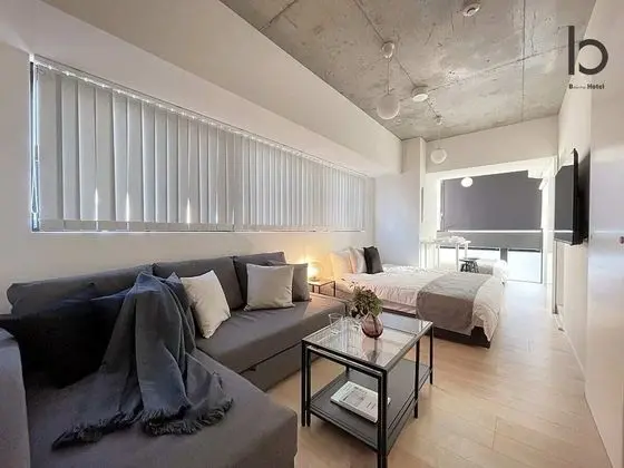 Deluxe Apart Daire, 1 Yatak Odası, Sigara İçilmez, Şehir Manzaralı (bHotel Nekoyard 501)