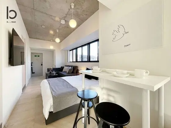 Deluxe Apart Daire, 1 Yatak Odası, Sigara İçilmez, Şehir Manzaralı (bHotel Nekoyard 501)