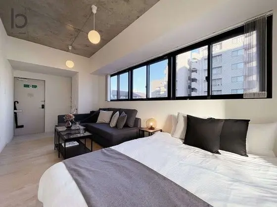 Deluxe Apart Daire, 1 Yatak Odası, Sigara İçilmez, Şehir Manzaralı (bHotel Nekoyard 501)