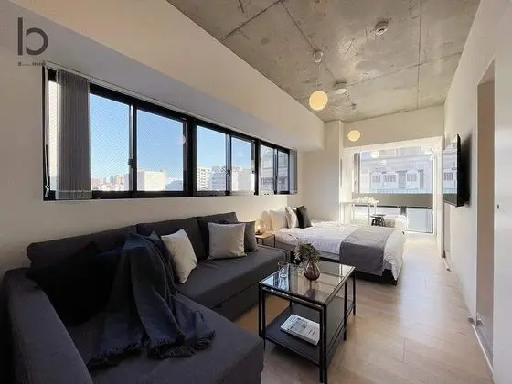 Deluxe Apart Daire, 1 Yatak Odası, Sigara İçilmez, Şehir Manzaralı (bHotel Nekoyard 501)