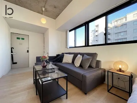 Deluxe Apart Daire, 1 Yatak Odası, Sigara İçilmez, Şehir Manzaralı (bHotel Nekoyard 501)