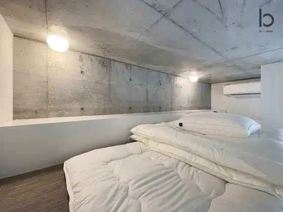 Deluxe Apart Daire, 1 Yatak Odası, Sigara İçilmez, Şehir Manzaralı (bHotel Nekoyard 102)