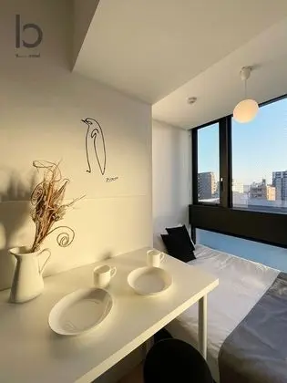 Deluxe Apart Daire, 1 Yatak Odası, Sigara İçilmez, Şehir Manzaralı (bHotel Nekoyard 102)