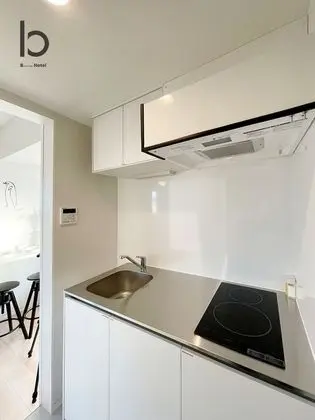 Deluxe Apart Daire, 1 Yatak Odası, Sigara İçilmez, Şehir Manzaralı (bHotel Nekoyard 102)