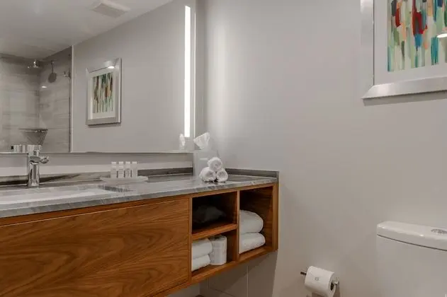 Standard Oda, 1 En Büyük (King) Boy Yatak (Chic City View King w Roll-in Shower)