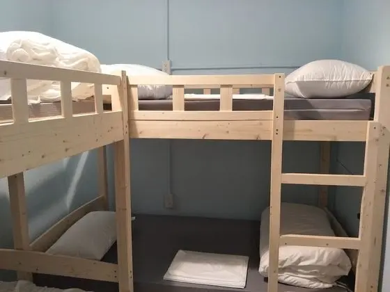 Standard Ortak Ranzalı Oda, Karma Ranzalı Oda (4 beds 201)