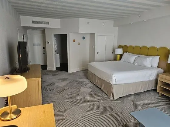 Standard Oda, 1 En Büyük (King) Boy Yatak ve Çekyat (342 sq ft, Premium View)