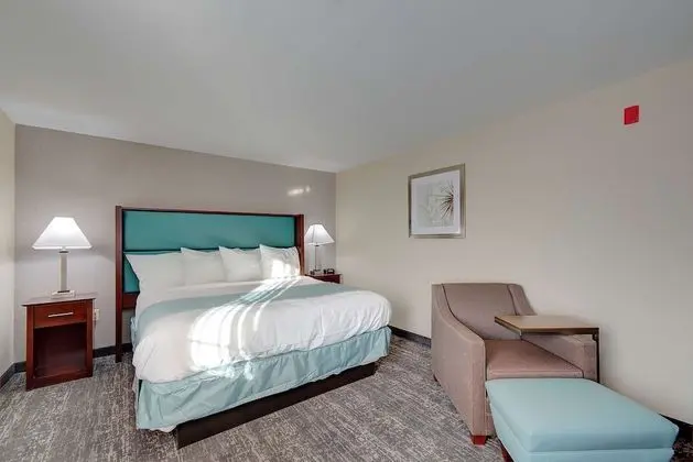 Standard Oda, 1 En Büyük (King) Boy Yatak, Sigara İçilmez, Buzdolabı ve Mikrodalga