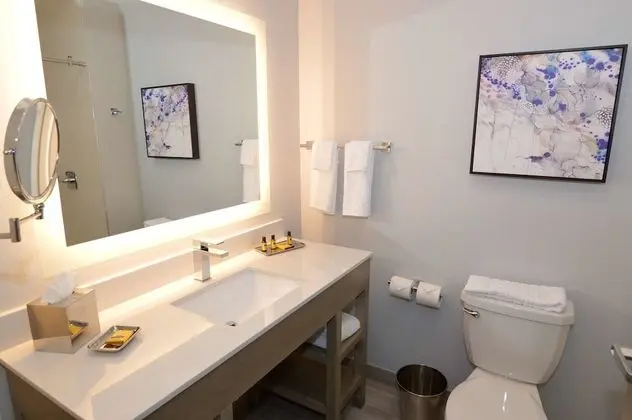 Süit, 1 En Büyük (King) Boy Yatak, Sigara İçilmez (Shower Only;with Sofabed)