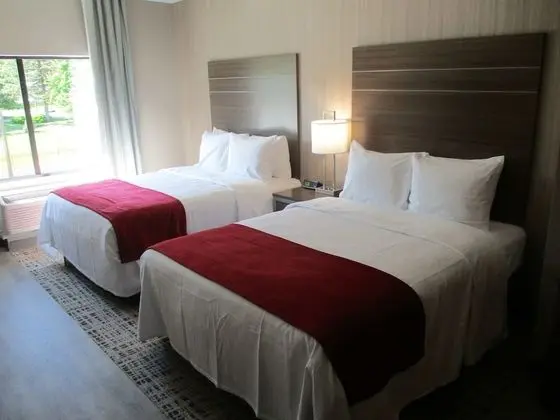 Süit, 2 Büyük (Queen) Boy Yatak, Sigara İçilmez (Walk-in Shower;with Sofabed)