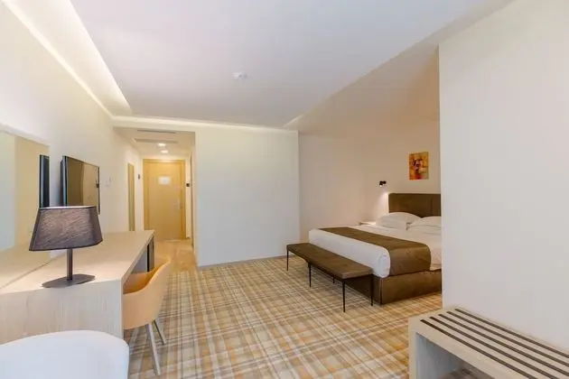 Standard Oda, 1 En Büyük (King) Boy Yatak, Sigara İçilmez, Balkon