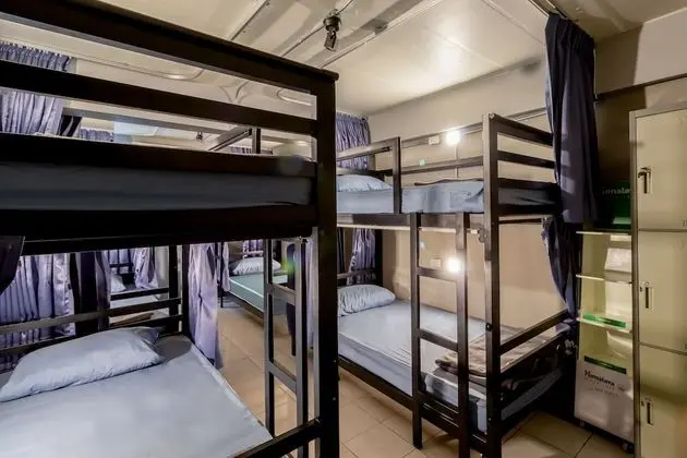 Mixed Dormitory 8 Bunk Beds