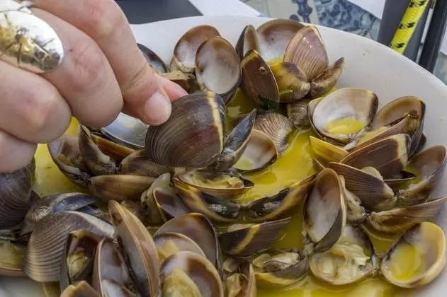 Apart Daire, Engellilere Uygun